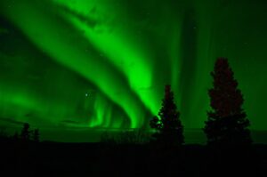 aurora borealis, northern lights, green
